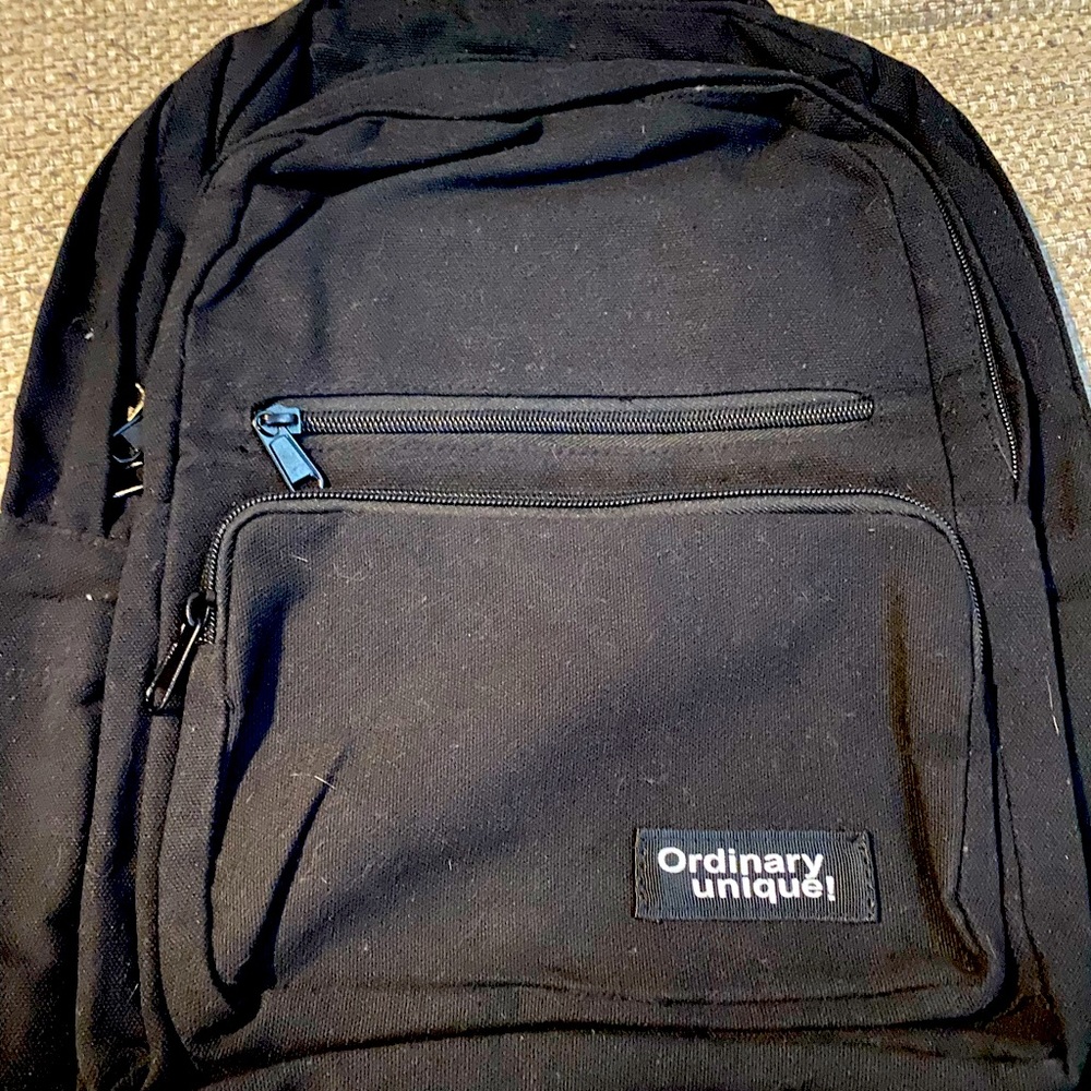Brand new without tags ordinary unique backpack